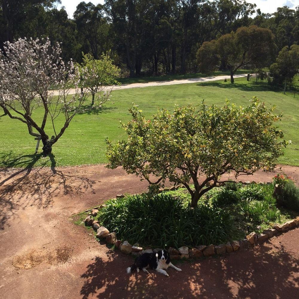 Erravilla Country Estate Spa Suite Accommodation Cowaramup Buitenkant foto